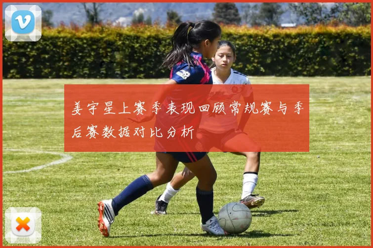 姜宇星上赛季表现回顾常规赛与季后赛数据对比分析